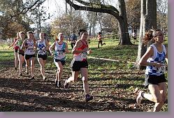 Begles 15.12.13 01 724 * 679 x 453 * (216KB)